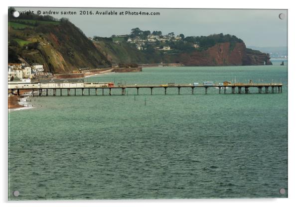 TEIGNMOUTH PIER Acrylic by andrew saxton