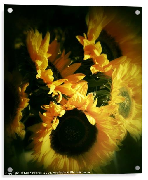 Sunflowers  Acrylic by Brian Pearce