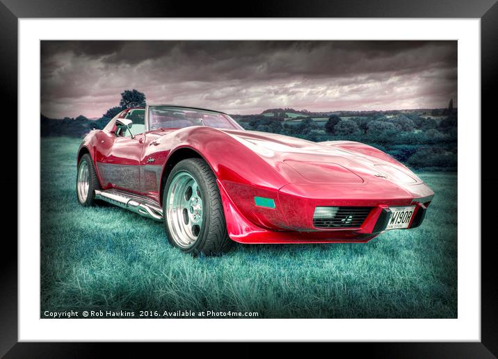 Red Stingray  Framed Mounted Print by Rob Hawkins