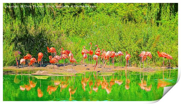 Pretty Flamingos Print by Chris Thaxter