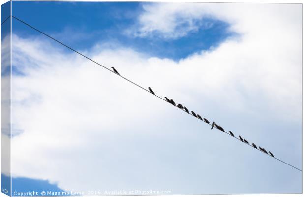 Birds on a wire Canvas Print by Massimo Lama