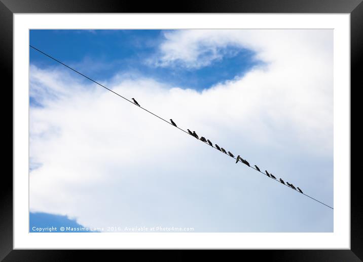 Birds on a wire Framed Mounted Print by Massimo Lama