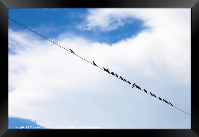 Birds on a wire Framed Print by Massimo Lama