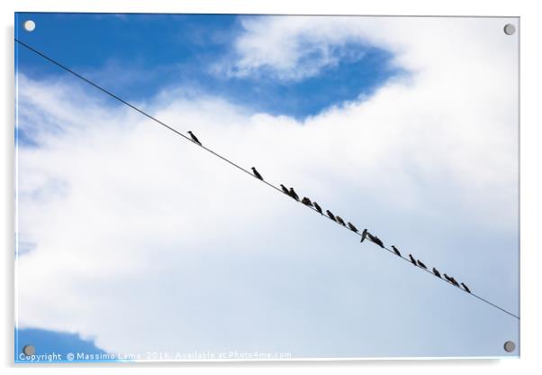 Birds on a wire Acrylic by Massimo Lama