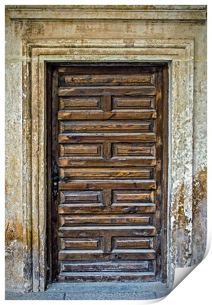 Old wooden door Print by Igor Krylov