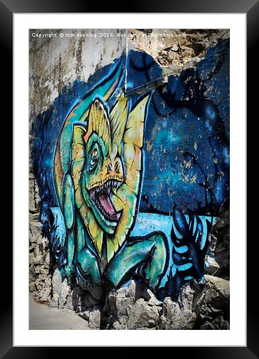 Urban Dragon Framed Mounted Print by tom downing