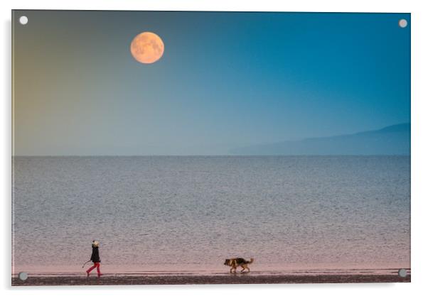 Just the Moon and my Best Friend Acrylic by Gareth Burge Photography