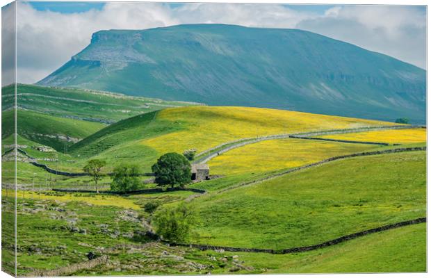 Pen y Ghent Fell Yorkshire Dales National Park  Canvas Print by Nick Jenkins