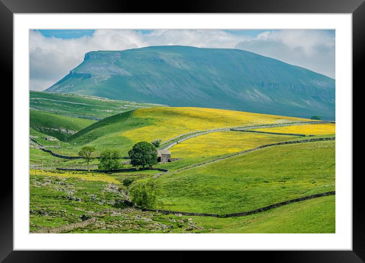 Pen y Ghent Fell Yorkshire Dales National Park  Framed Mounted Print by Nick Jenkins