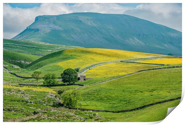 Pen y Ghent Fell Yorkshire Dales National Park  Print by Nick Jenkins