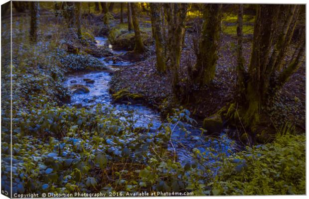 Woodland Stream Canvas Print by Distortion Photography