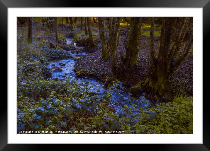 Woodland Stream Framed Mounted Print by Distortion Photography