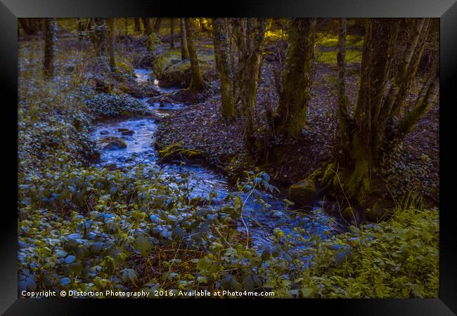 Woodland Stream Framed Print by Distortion Photography