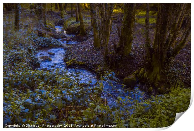Woodland Stream Print by Distortion Photography