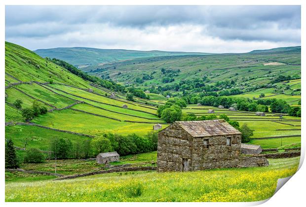The Angram Barns Swaledale Yorkshire Dales Print by Nick Jenkins