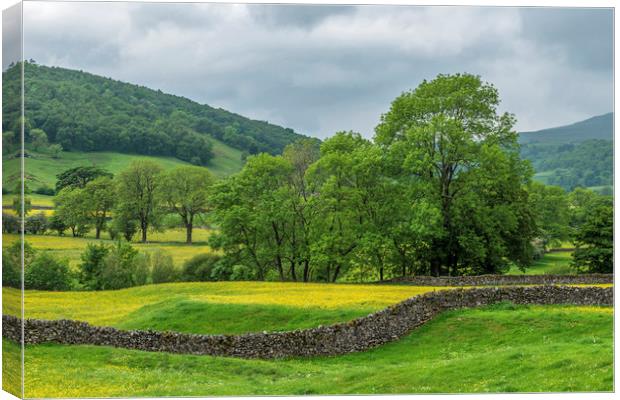 Buckden Flower Meadows Upper Wharfedale Yorkshire Canvas Print by Nick Jenkins