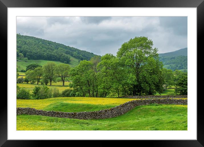 Buckden Flower Meadows Upper Wharfedale Yorkshire Framed Mounted Print by Nick Jenkins