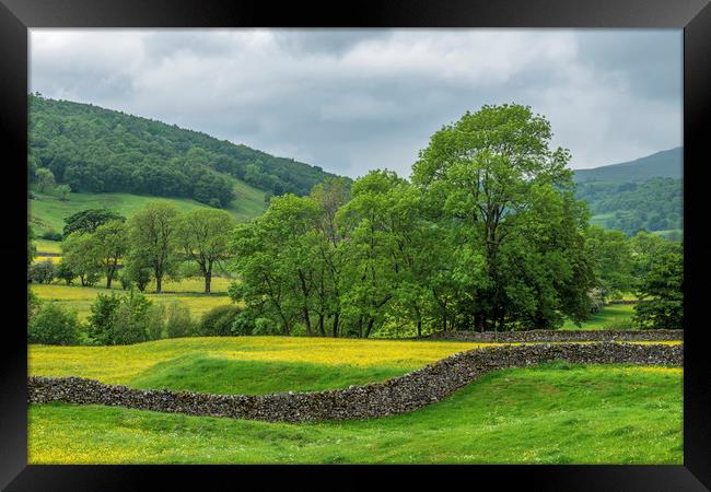 Buckden Flower Meadows Upper Wharfedale Yorkshire Framed Print by Nick Jenkins