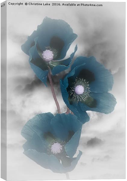 Shades Of Blue Canvas Print by Christine Lake