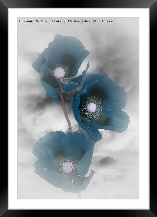 Shades Of Blue Framed Mounted Print by Christine Lake