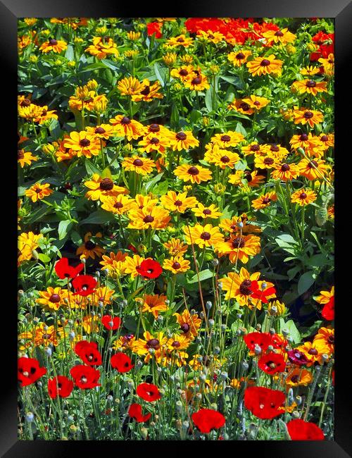 Flower Garden Framed Print by Victor Burnside