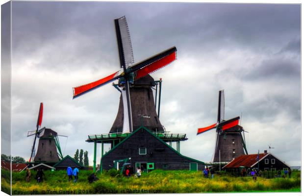 Windmills at Zaanse Schans Canvas Print by Tom Gomez