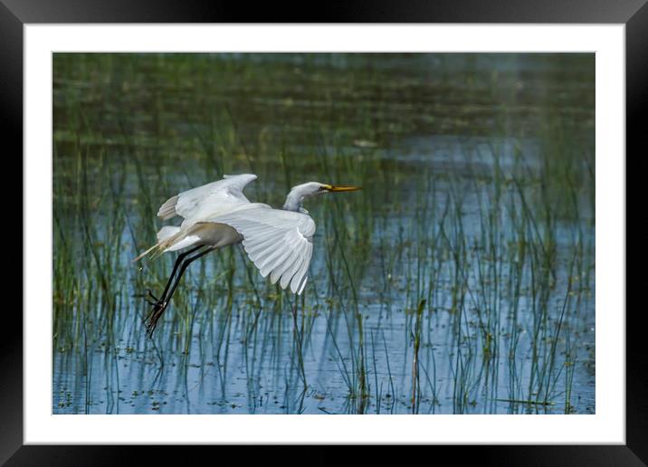 Grace Over WAter Framed Mounted Print by Belinda Greb