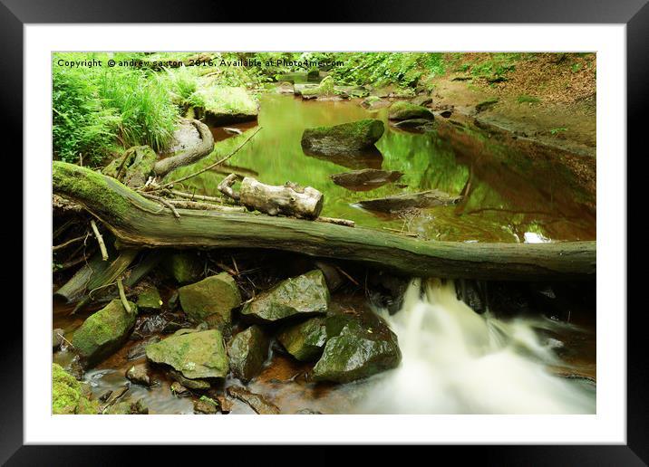 FALLEN WOOD Framed Mounted Print by andrew saxton