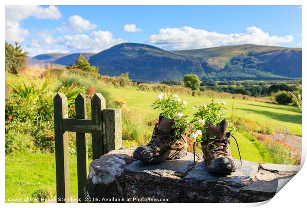 Boots and flowers at Ennerdale in the Lake Distric Print by Hauke Steinberg