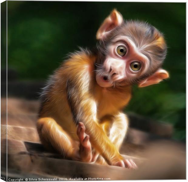 baby monkey Canvas Print by Silvio Schoisswohl