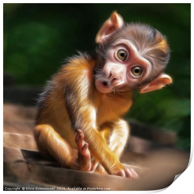 baby monkey Print by Silvio Schoisswohl