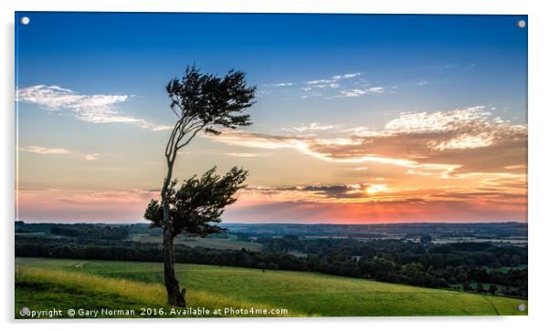 Lone tree at sunset on Deacon Hill, Hertfordshire Acrylic by Gary Norman
