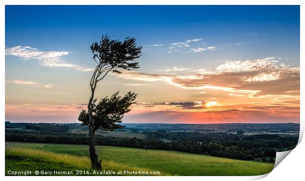 Lone tree at sunset on Deacon Hill, Hertfordshire Print by Gary Norman