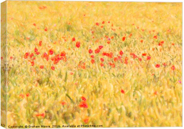 Poppy field abstract Canvas Print by Graham Moore