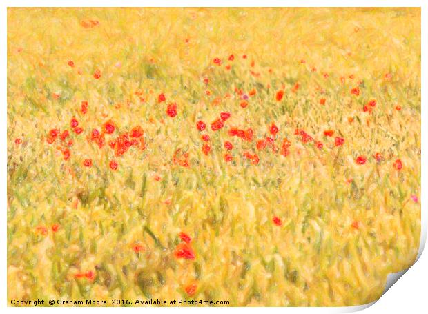 Poppy field abstract Print by Graham Moore
