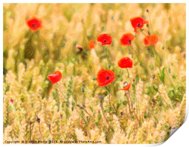 Group of Poppies abstract Print by Graham Moore