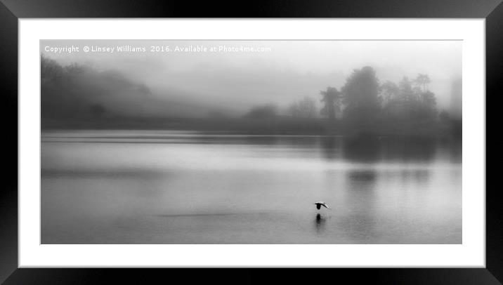 Early Morning Mist On Thornton Reservoir Framed Mounted Print by Linsey Williams