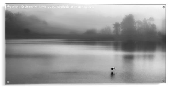 Early Morning Mist On Thornton Reservoir Acrylic by Linsey Williams