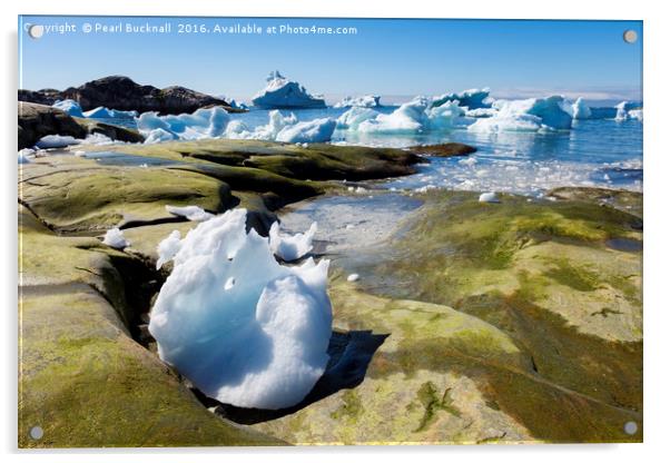 Ice and Icebergs Greenland Acrylic by Pearl Bucknall