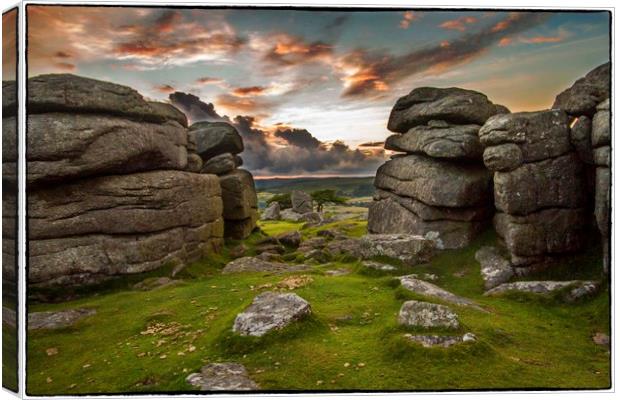 Gateway to the Moor Canvas Print by Andy Toby