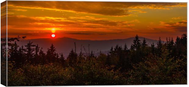 Sunset in Sumava forest. Canvas Print by Sergey Fedoskin