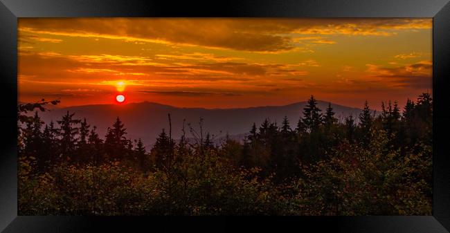 Sunset in Sumava forest. Framed Print by Sergey Fedoskin