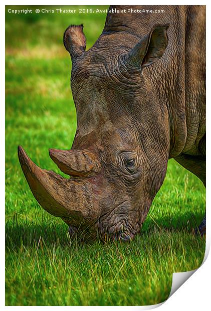 Southern White Rhinoceros Print by Chris Thaxter