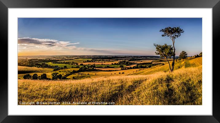 Lone tree at sunset on Deacon Hill, Hertfordshire Framed Mounted Print by Gary Norman
