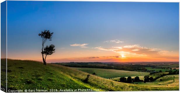 Lone tree at sunset on Deacon Hill, Hertfordshire Canvas Print by Gary Norman