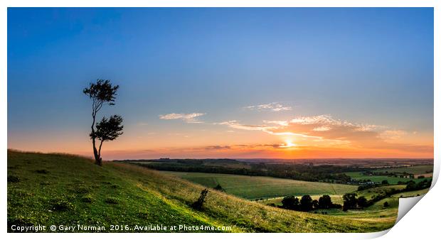 Lone tree at sunset on Deacon Hill, Hertfordshire Print by Gary Norman