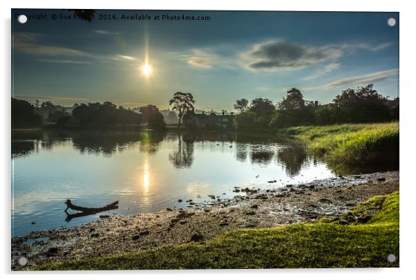 Sunrise at Beaulieu Mill Pond  Acrylic by Sue Knight