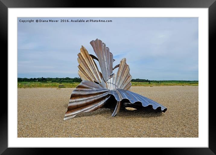 Aldeburgh Scallop Framed Mounted Print by Diana Mower