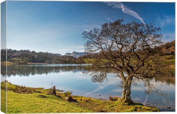 Loughrigg Tarn in the Lake District National Park  Canvas Print by Nick Jenkins