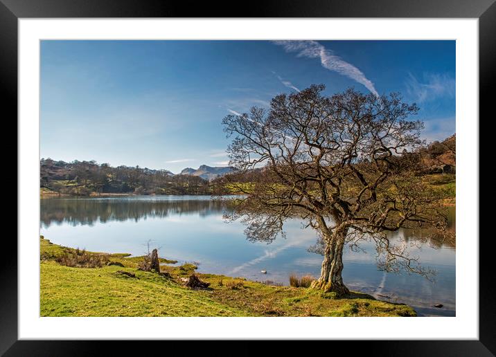 Loughrigg Tarn in the Lake District National Park  Framed Mounted Print by Nick Jenkins